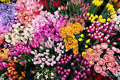 AI进军财务领域 CFO们将面临被淘汰风险